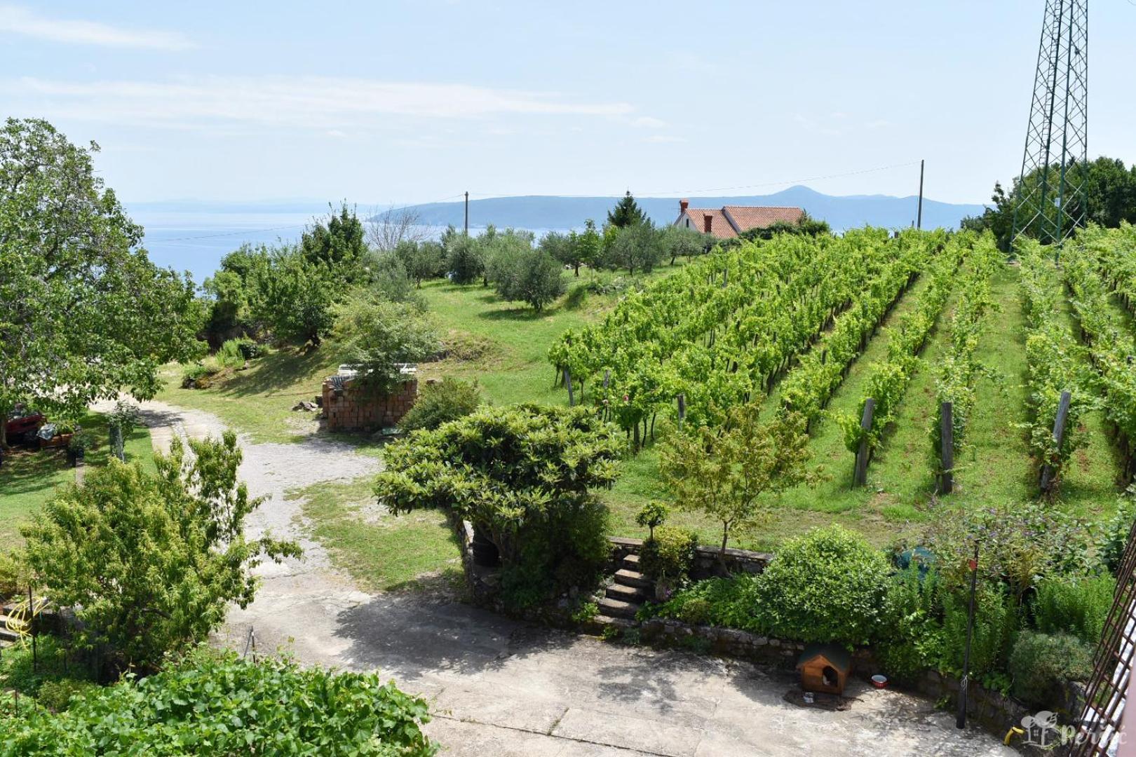 Apartman Persic Mošćenička Draga Esterno foto