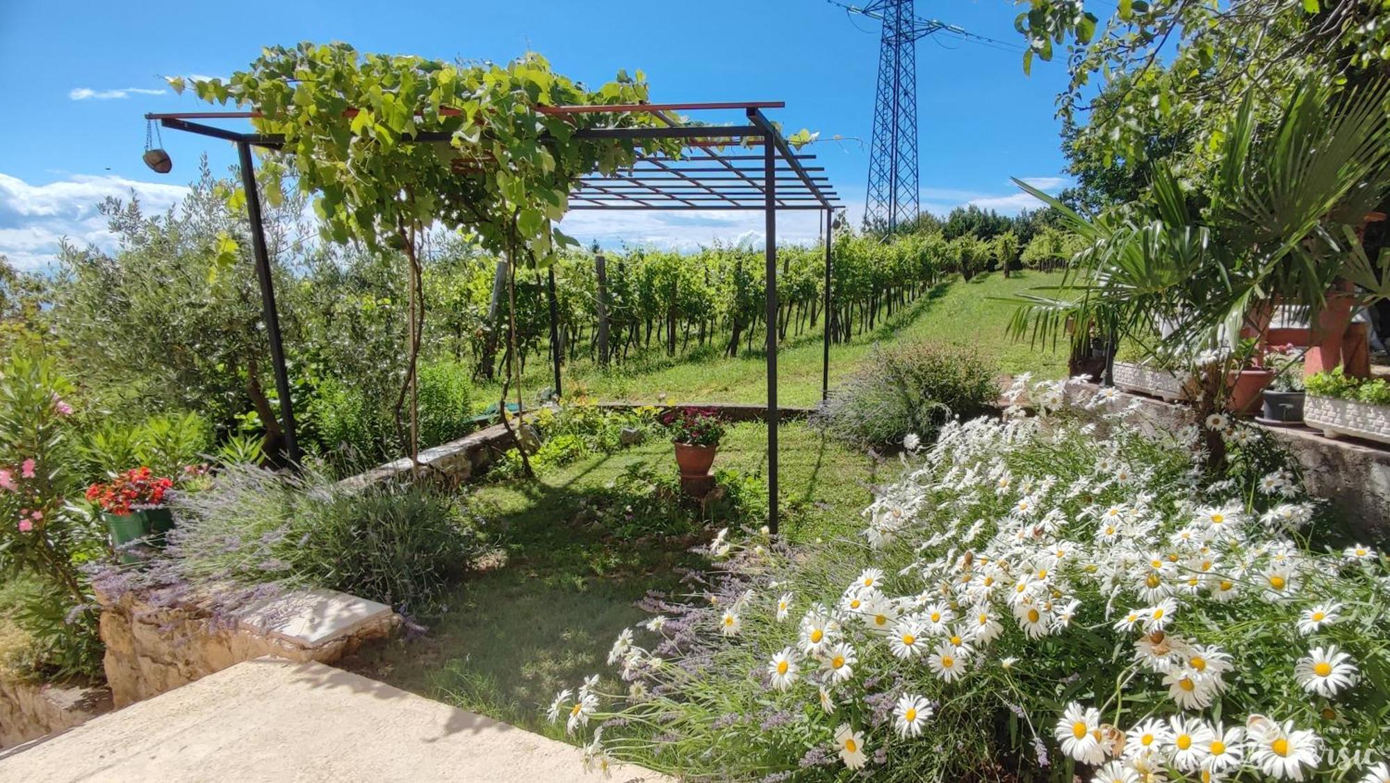 Apartman Persic Mošćenička Draga Esterno foto